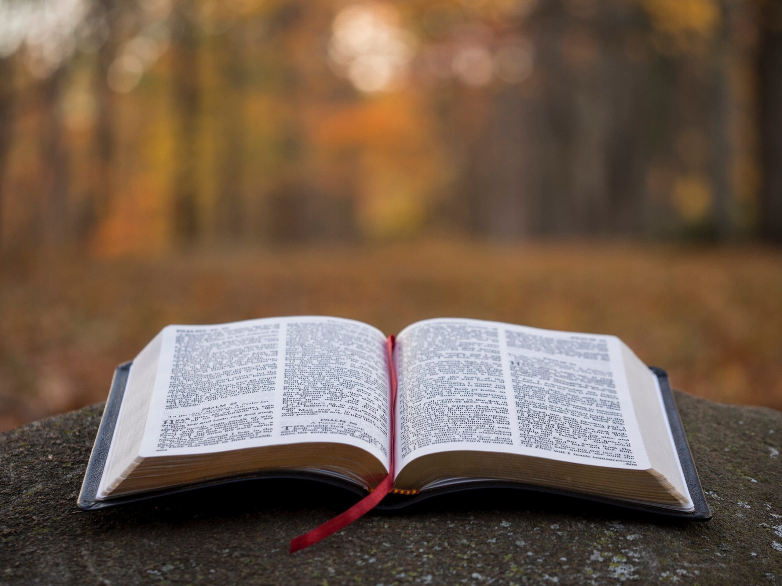 Sola Scriptura: Scriptural Centrality, Repentance, and Reformation